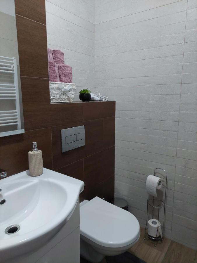 Apartament Ambrus Sighişoara Exterior foto